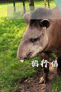 招行信用卡 逾期自然日 招行信用卡 逾期自然日